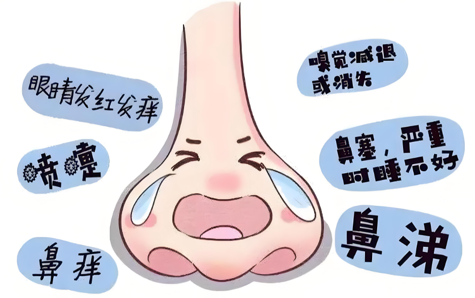 1.png 1.png